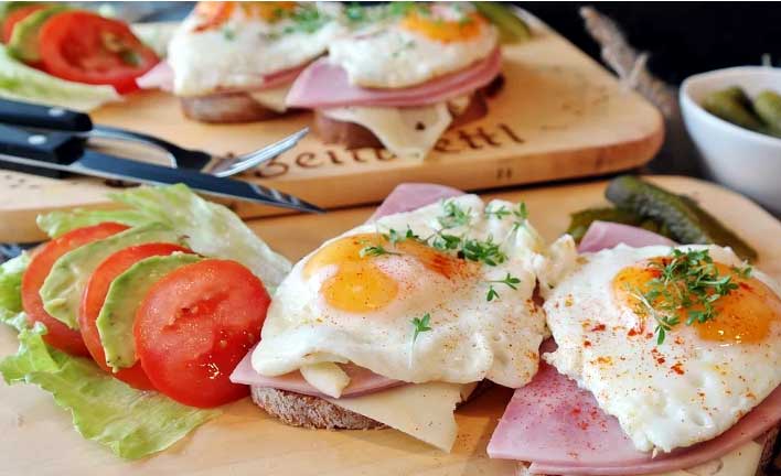 high protein diet