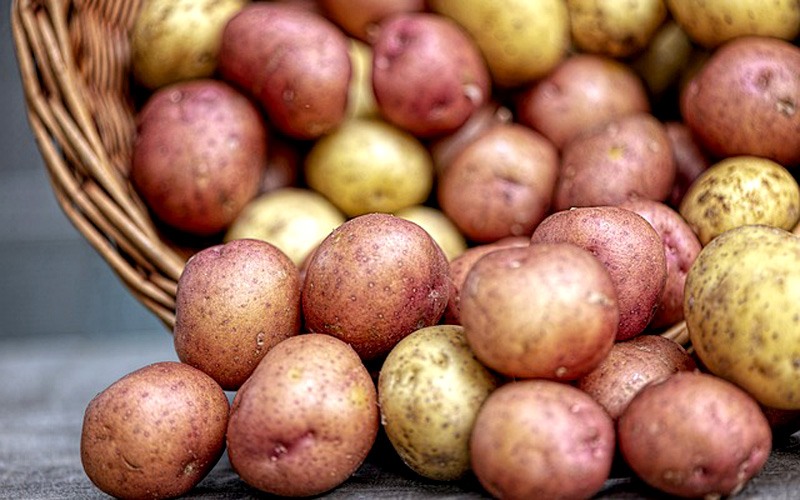 Eating potatoes not associated with elevated heart health risk factors, finds study