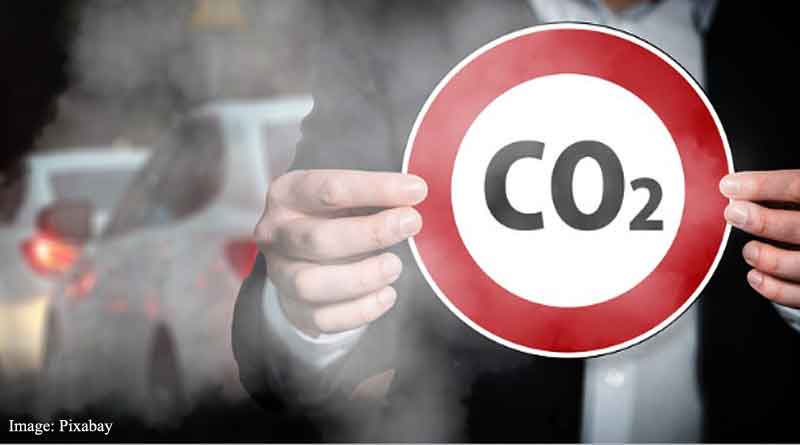 Air pollution especially from diesel exhaust affects females more than males