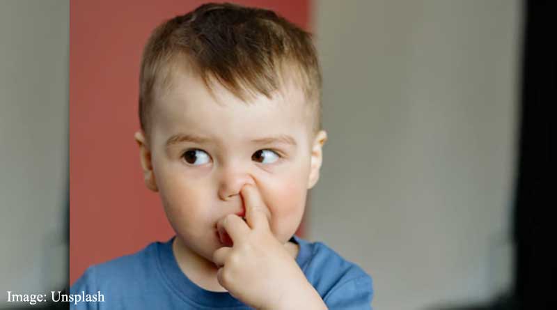nose picking could increase risk for Alzheimer’s and dementia, suggests new research