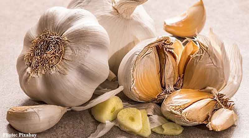 Study finds garlic extract effective on weight loss and gut microbiota composition in obese women