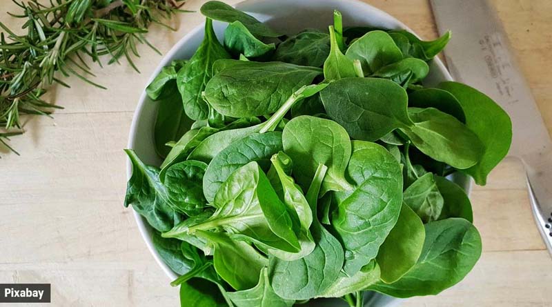 Higher dietary magnesium intake related to better brain health