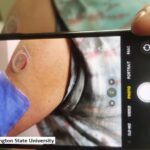 alt="3D health monitor"