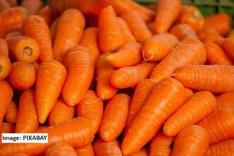 alt="baby carrots"