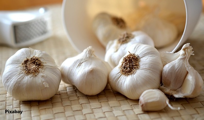 alt="how to reduce garlic smell"