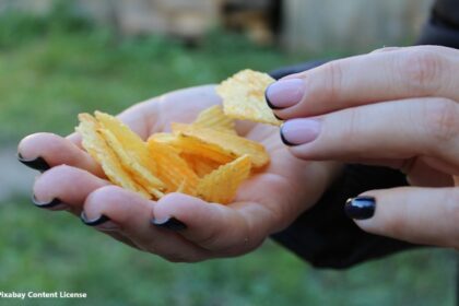 alt="Ultra-processed food chips"