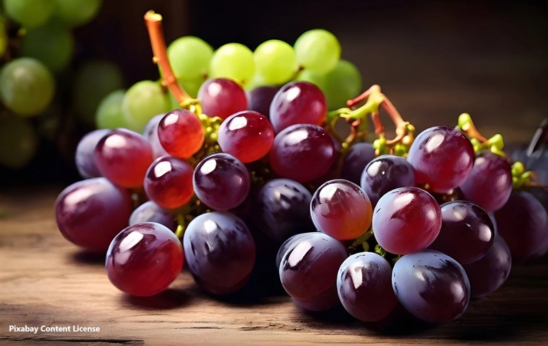 alt="green and red grapes"