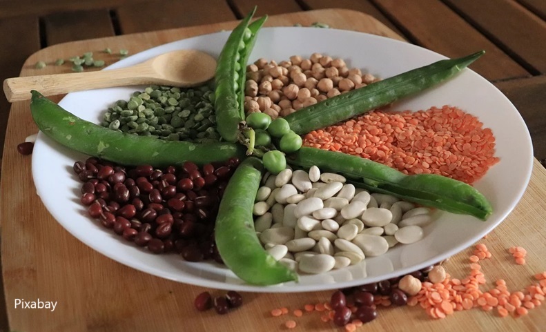 alt="peas and various beans"