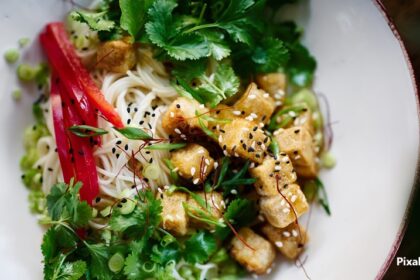 alt="plant protein tofu"