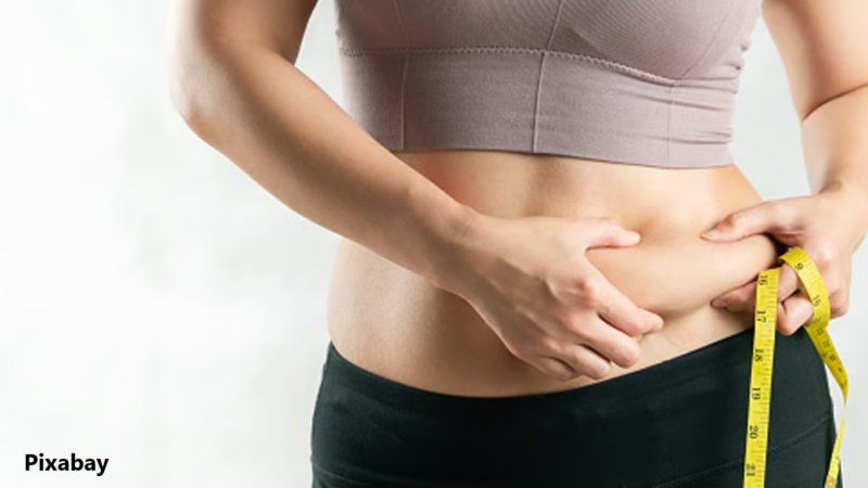 alt="obesity can increase Alzheimer’s disease risk"