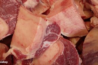 alt="Red meat consumption increases risk of dementia and cognitive decline"