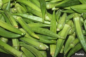 alt="okra health benefits"