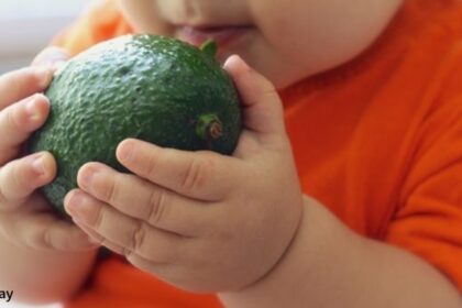 alt="obesity in children"