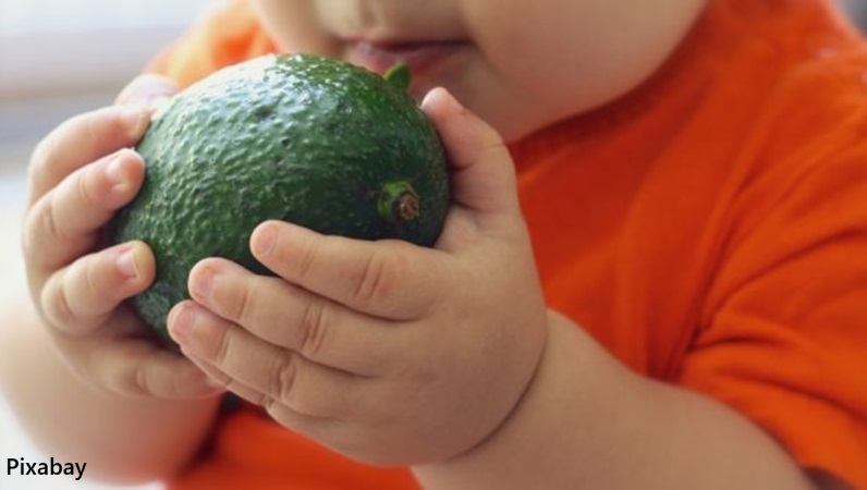 alt="obesity in children"