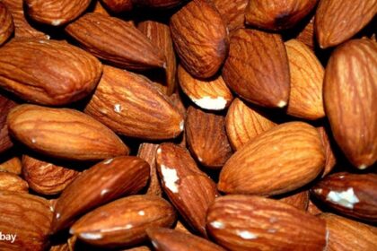 alt="almonds"