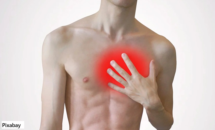 alt="cardiovascular disease"
