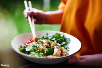 alt="plant-based protein"