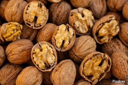 alt="walnuts for colon cancer"