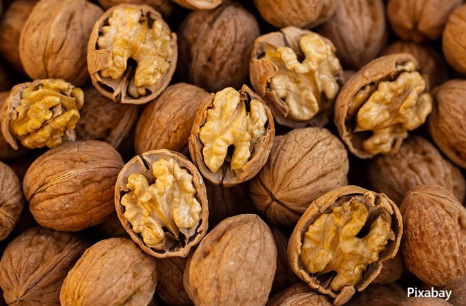 alt="walnuts for colon cancer"