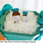 alt="cancer therapy drugs may help people live longer"