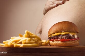 alt="high fat diet"