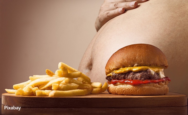 alt="high fat diet"