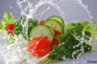 alt="vegetarian diet"