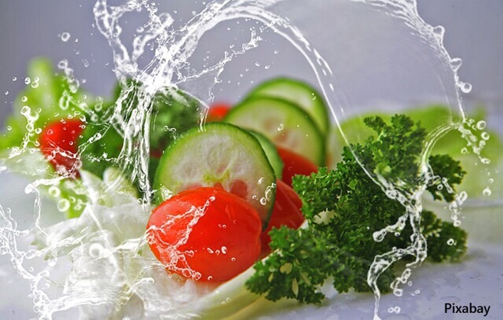 alt="vegetarian diet"